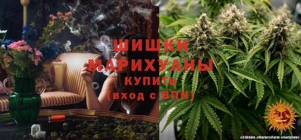 ешки Вязьма
