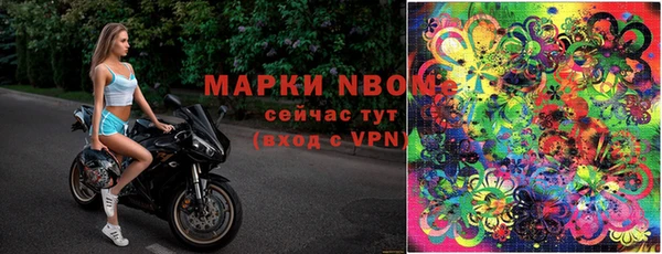 ешки Вязьма