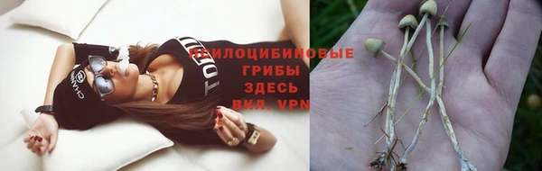 ПСИЛОЦИБИНОВЫЕ ГРИБЫ Горнозаводск