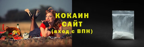 ешки Вязьма