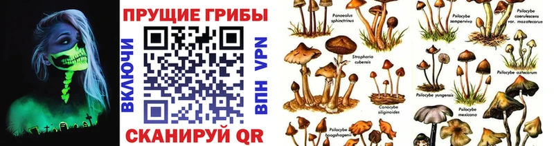 Галлюциногенные грибы ЛСД  даркнет сайт  Пересвет 